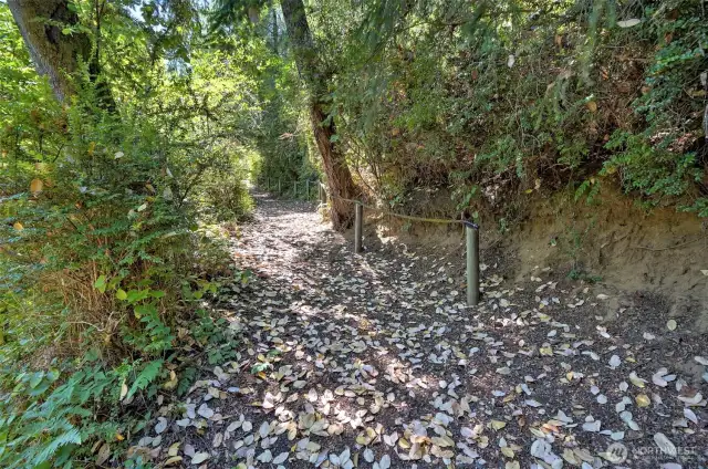 Beach trail