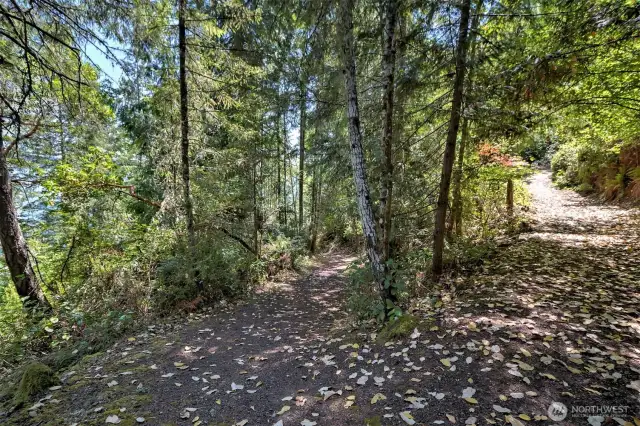 Beach trail
