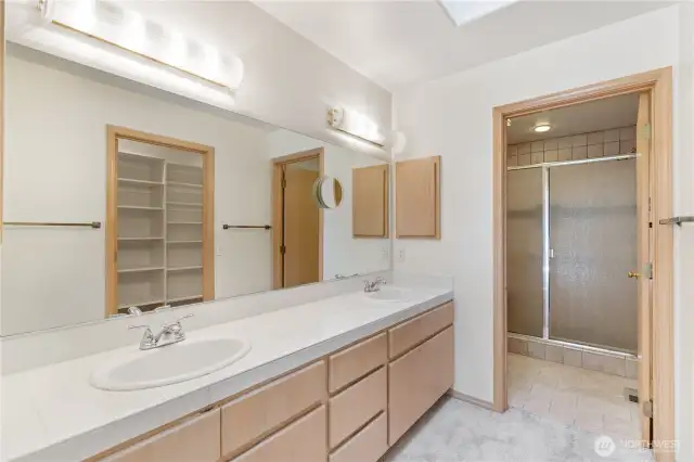 Primary dual sinks and low clearance shower beyond.