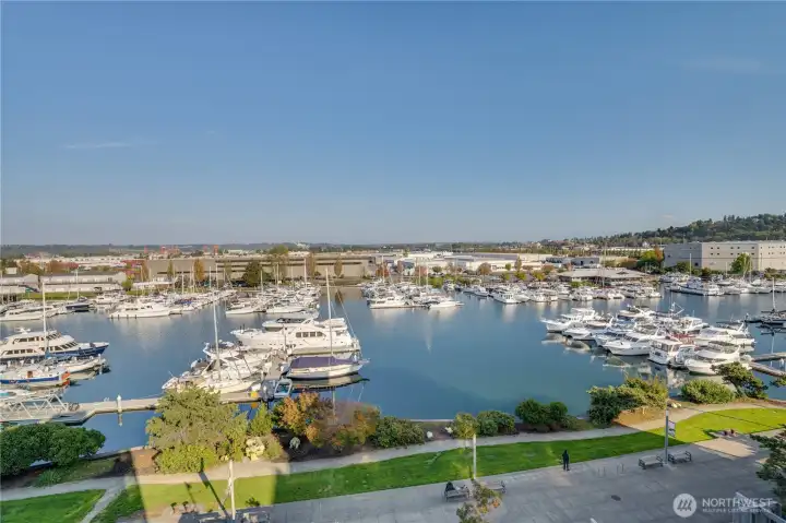 The boardwalk below is connected to many shops, eateries and small businesses. Thea Foss Waterway is a treasure trove of boat activity throughout the year.