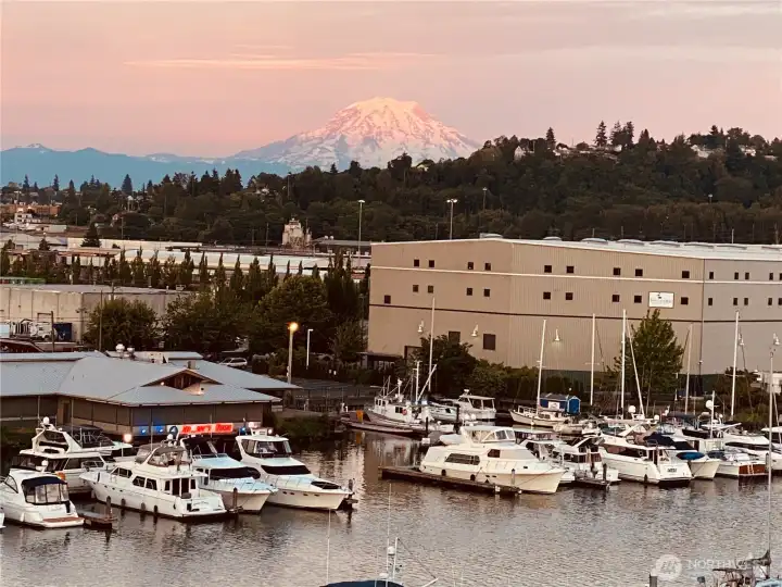 Owners photos of Mt Rainier, Johnny's Dock and the waterway.