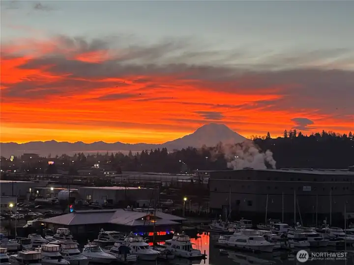 Your daily sunrise. Welcome home.