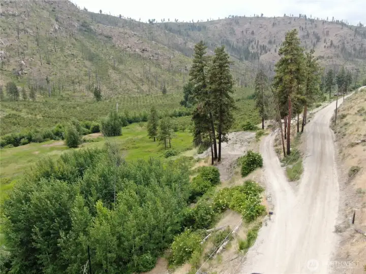 Property extends into aspen grove