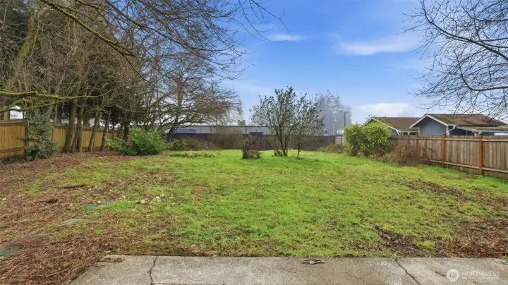 Expansive back yard