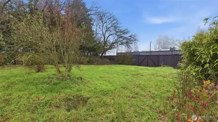 Expansive back yard