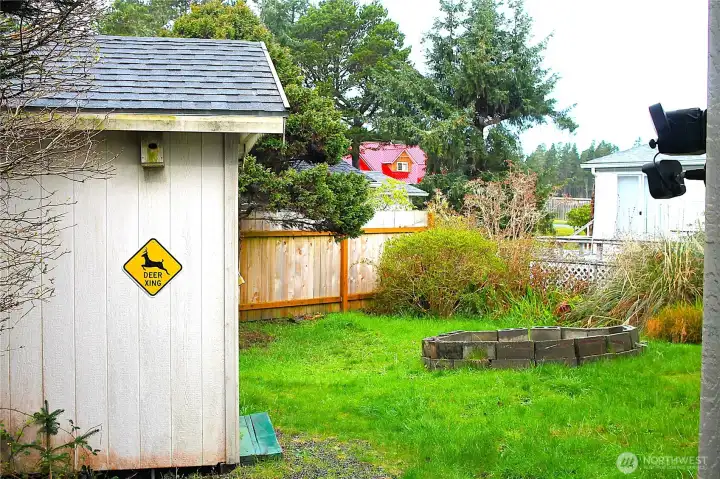 A view to the back yard ---