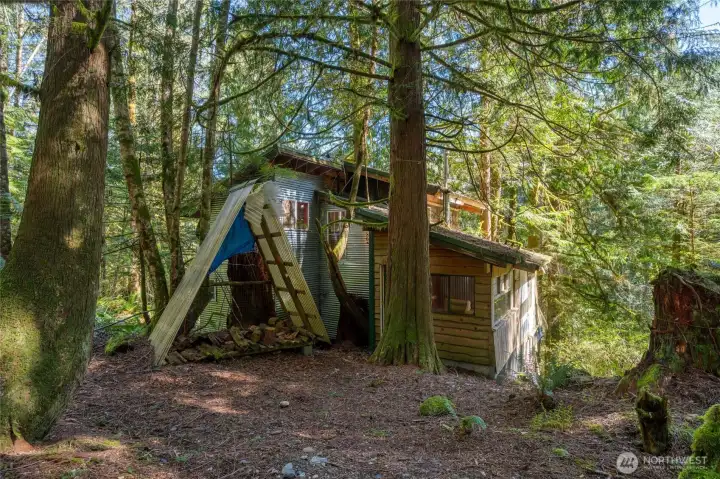 Tree House Cabin