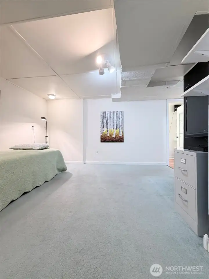 Family room/multipurpose room basement