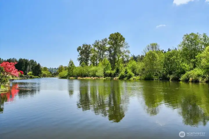 Slough at the End of the Dock