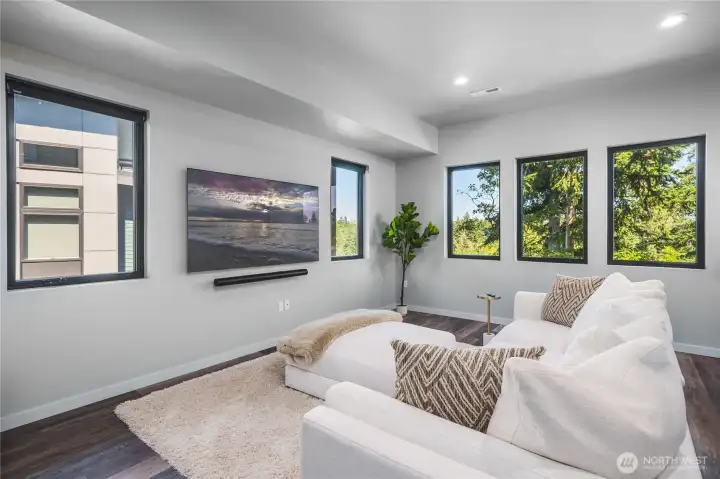 TV/bonus room on lower level, OLED TV and Sonos surround system.