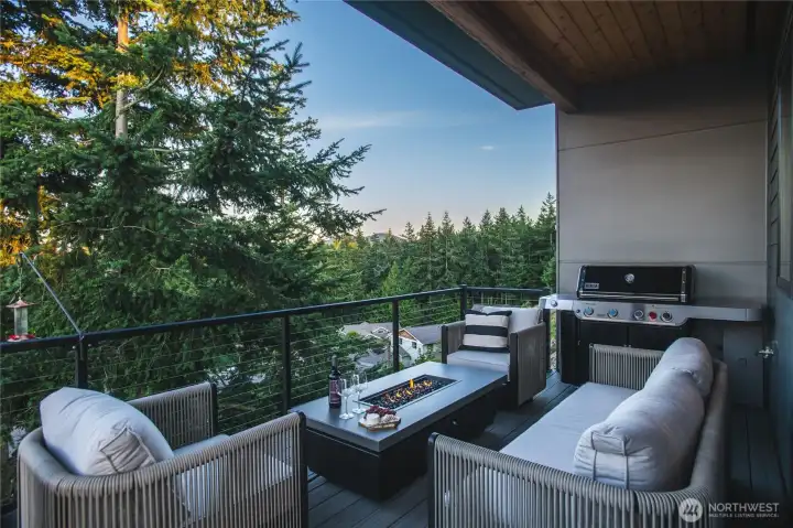 Private back deck overlooking the Cranberry Lake tree canopy.