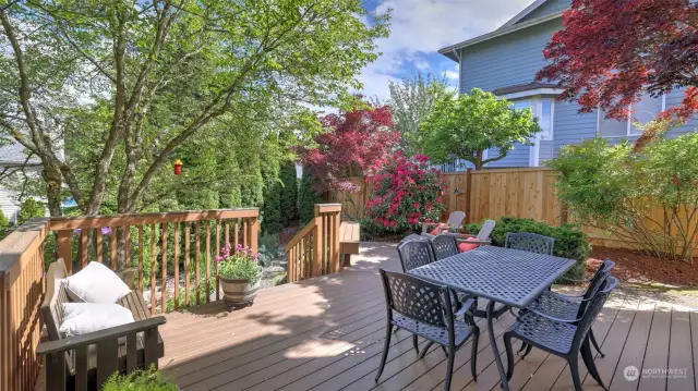 The lower level of this deck is spacious and overlooks the serenity of the gardens & back yard.