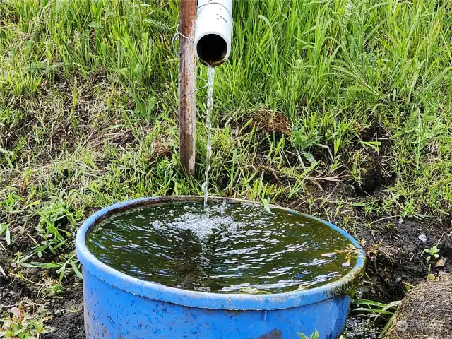 Artesian Spring water running nice and cold right out of the ground