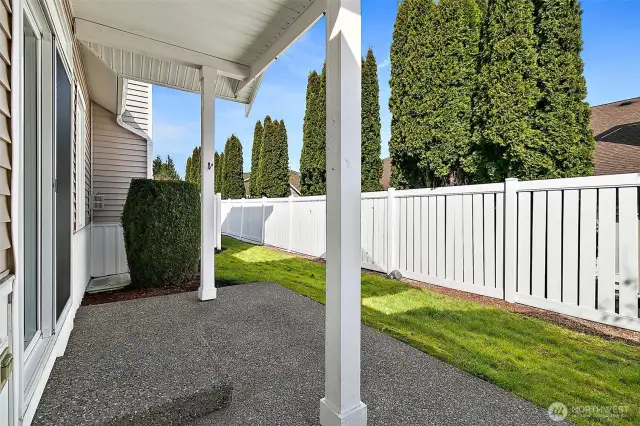 Backyard