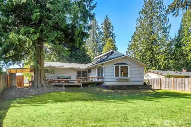 Expansive fully fenced backyard with deck access, mature trees, and peaceful privacy all around.