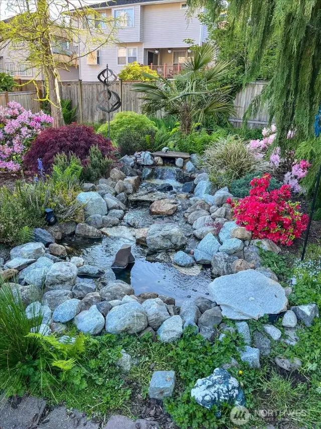 Backyard water feature for ideal relaxation!