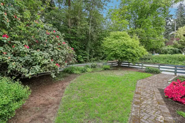 Southwest angle of the front yard.