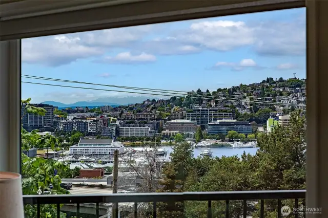 Window view