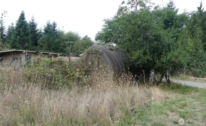 Chicken coop, greenhouse and plumb tree