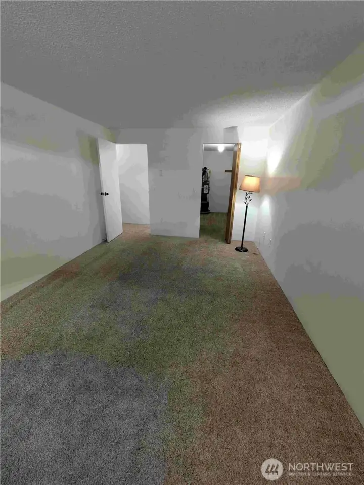 primary bedroom with large walk-in closet