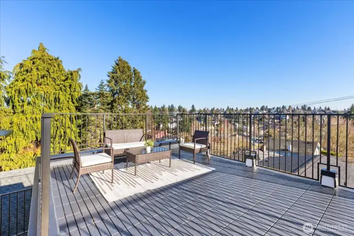 Fabulous views from the oversized rooftop deck.