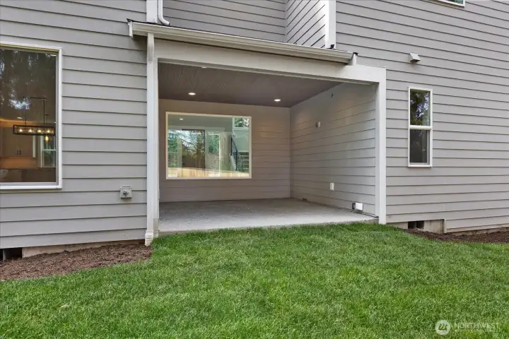 Outdoor Patio/ Backyard