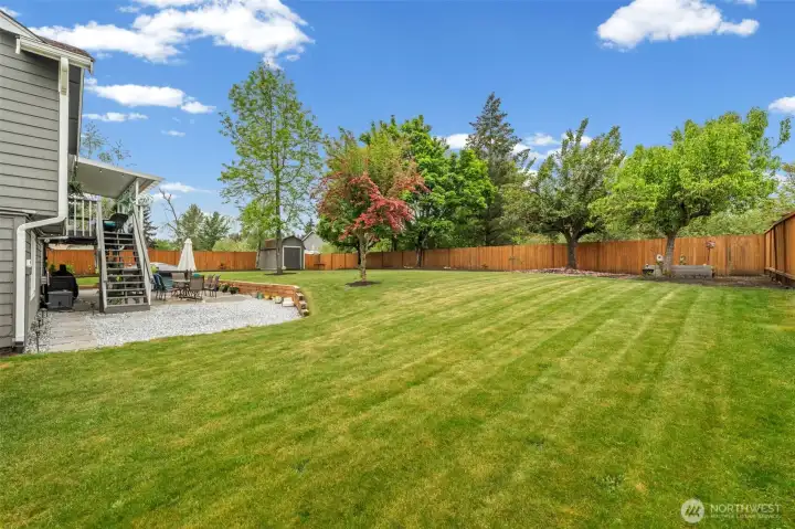 Large back yard with shed