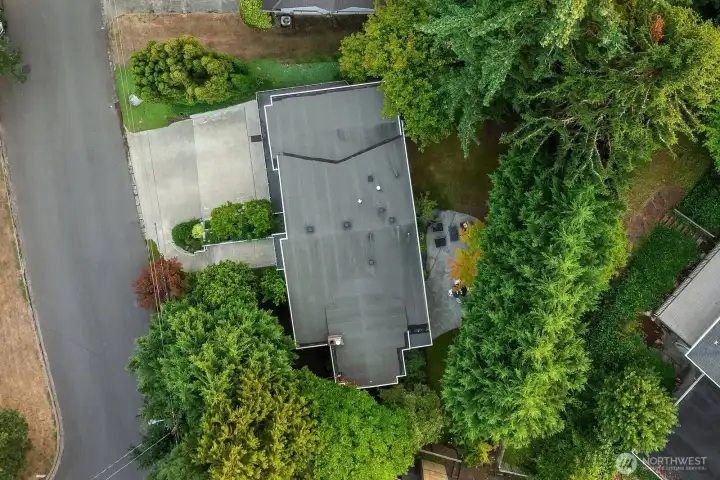 This aerial view showcases the home's impressive footprint, expansive 3-car garage, and generous lot enveloped by mature trees and landscaping — all nestled in the heart of the coveted Surrey Downs neighborhood just blocks from downtown Bellevue.
