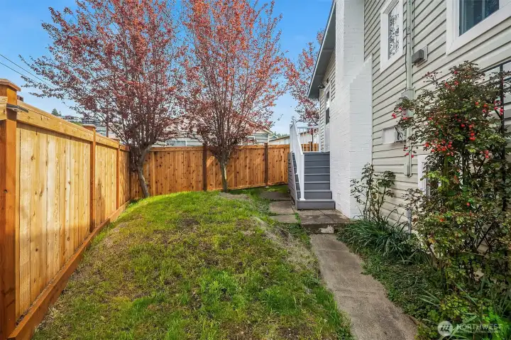 Side yard and 2nd entrance Side yard and 2nd entrance