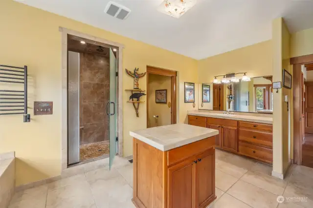 Primary Bathroom with heated towel rack, step in tiled shower, and separate sinks. Large walk in closet located just to the right.