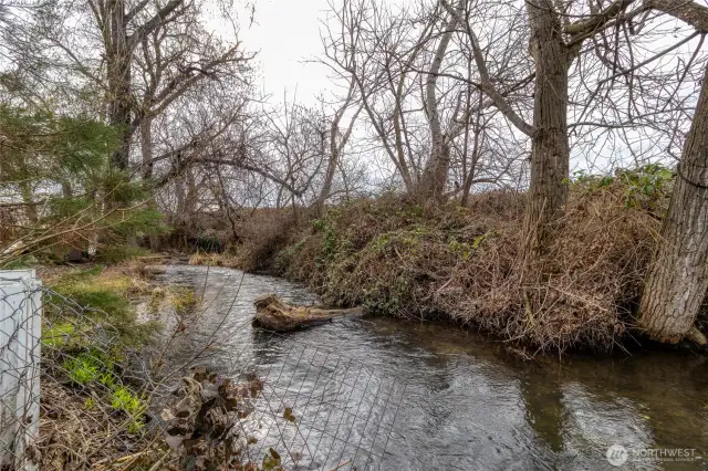 Creek in backyard