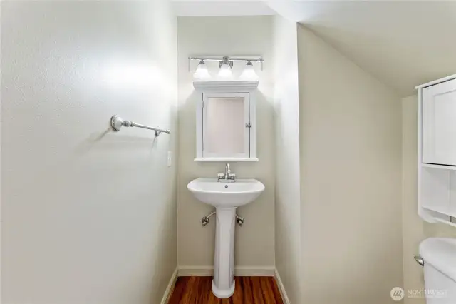 Downstairs half bathroom