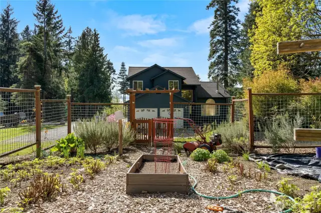 Fully deer-fenced garden