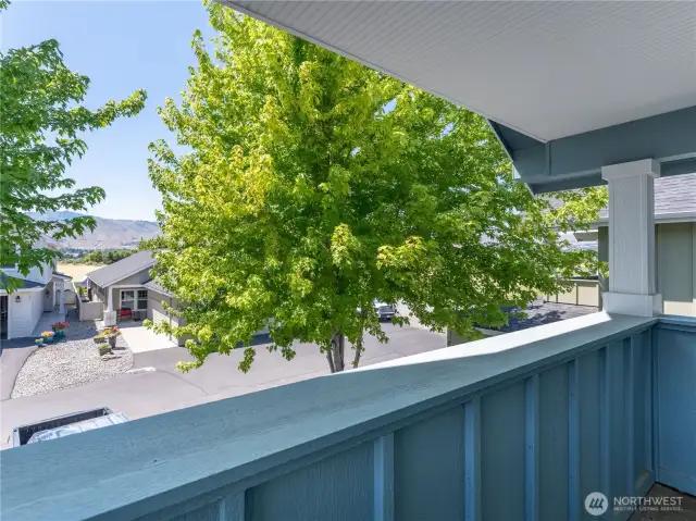 Panoramic View from Primary Balcony