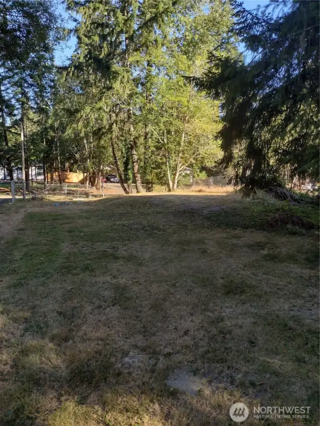 Open space w/room to build