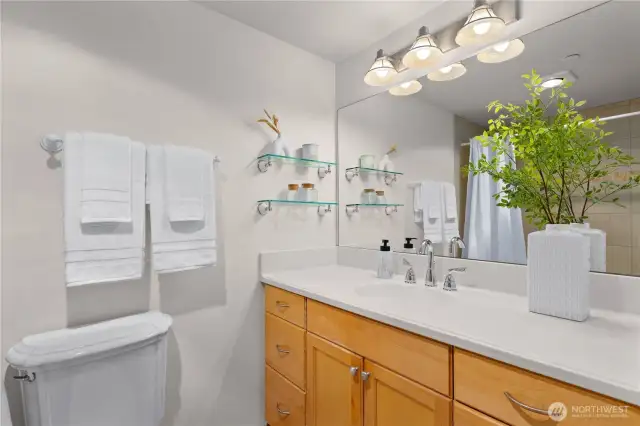 Primary full bathroom.