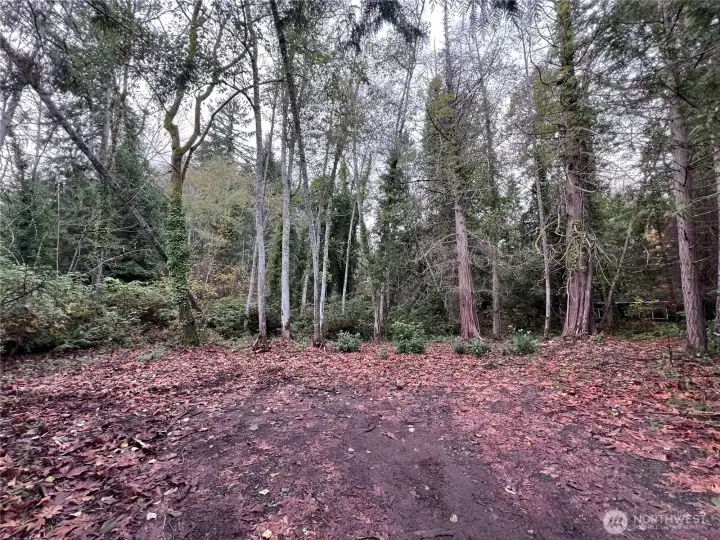 Semi-cleared and accessible