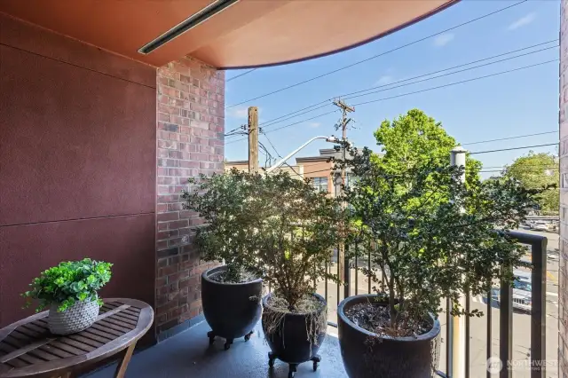 Deck comes with matures plants for added privacy.