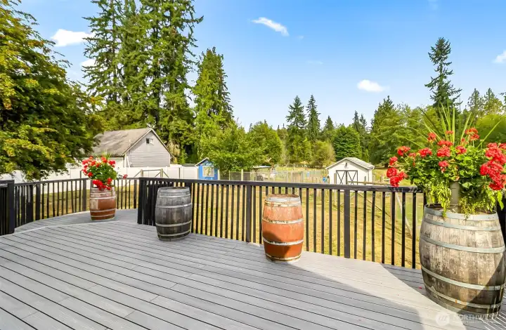 Imagine the entertainment & fun you could have on this deck!  Looks out onto the back of the property.
