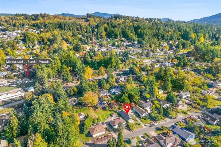 Scenic aerial showcasing the home nestled in a mature, established area.