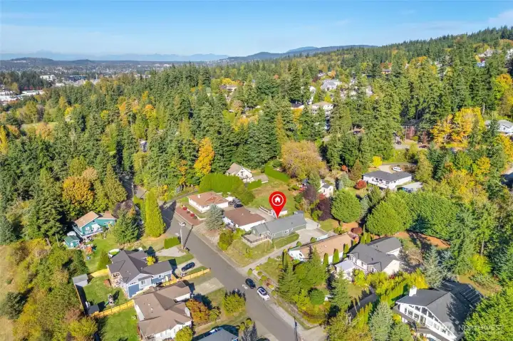 Neighborhood perspective highlighting spacious lots and greenbelt views.