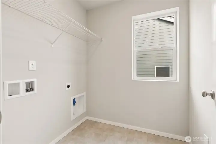 This is an example of an Alder in the community...Come see us 7 days a week to see in person!