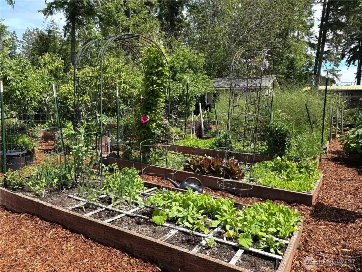 A gardeners delight!