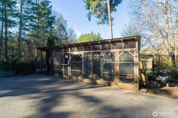 One for the baby chicks and one for the adults.