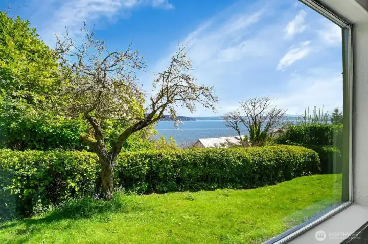 Great view from the living room!