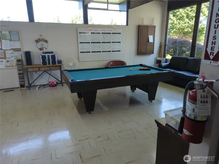 Clubhouse Pool Table