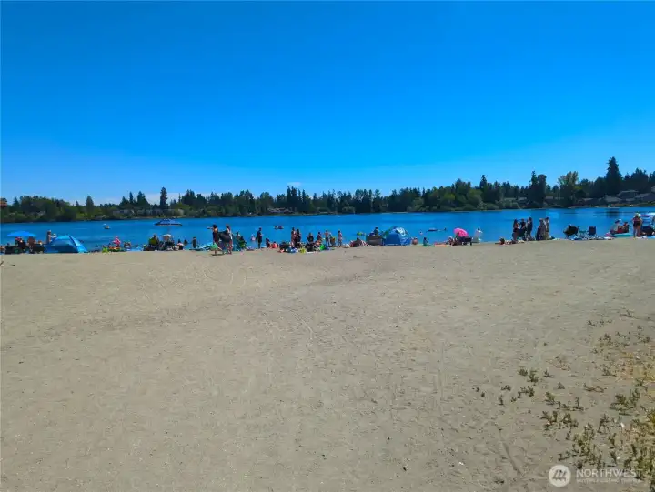Beach @ Silver Lake