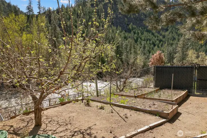 Garden area on lower level.
