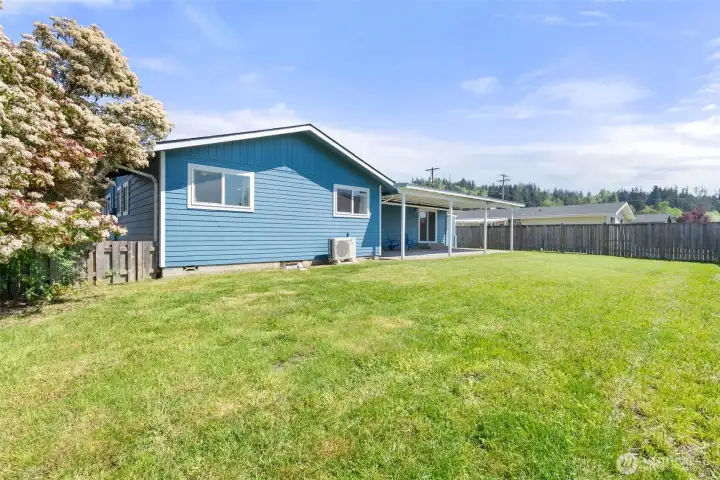 View of the backyard.