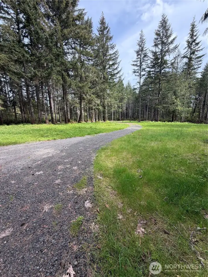 Lush, park-like Pacific Northwest setting with towering evergreens framing open green space on this private 3.28-acre parcel. The natural tree canopy provides beauty and seclusion while the cleared areas are ready for your vision.